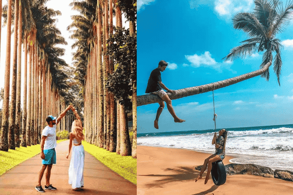 Everlasting Summer in Lanka