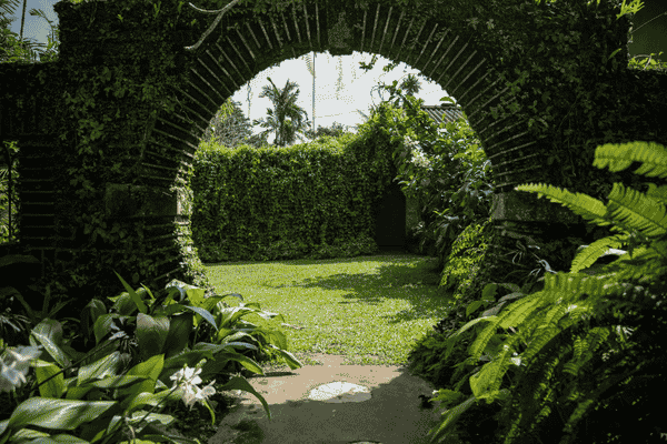 Courtyards & Verandahs